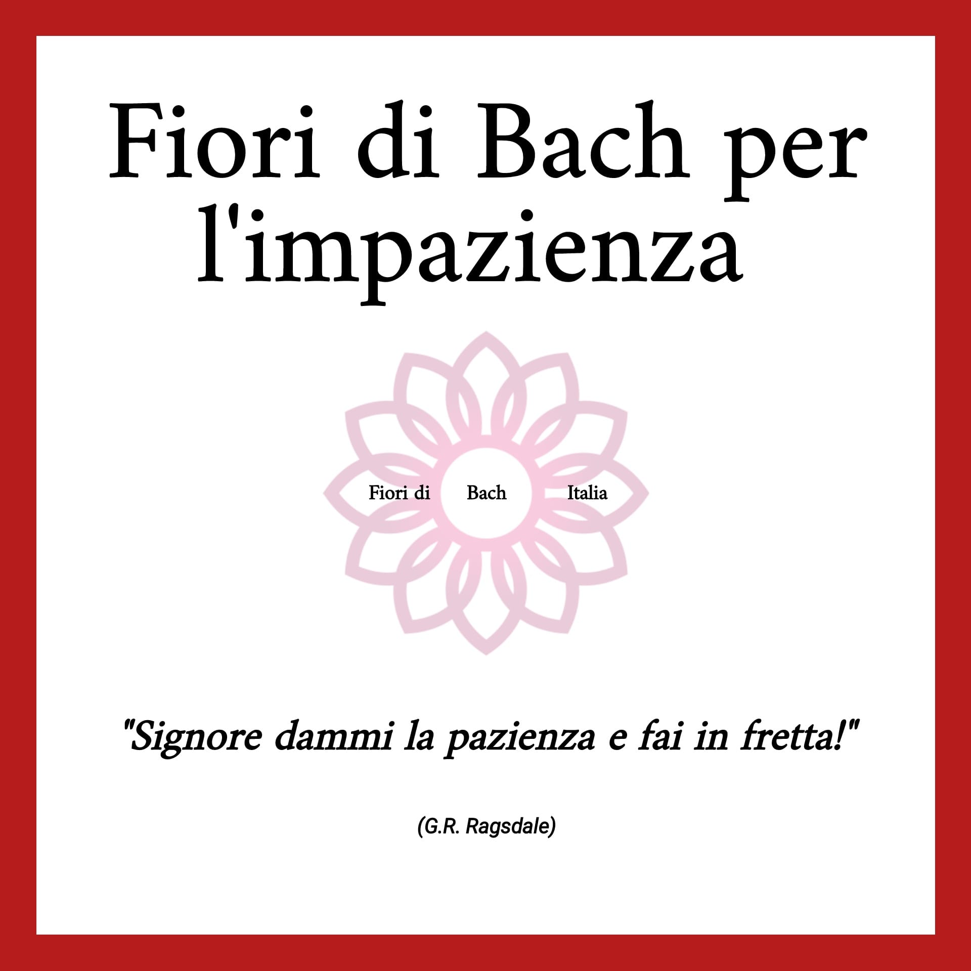 Comprendere, gestire e curare l'Impazienza con i Fiori di Bach | Fiori di Bach Italia