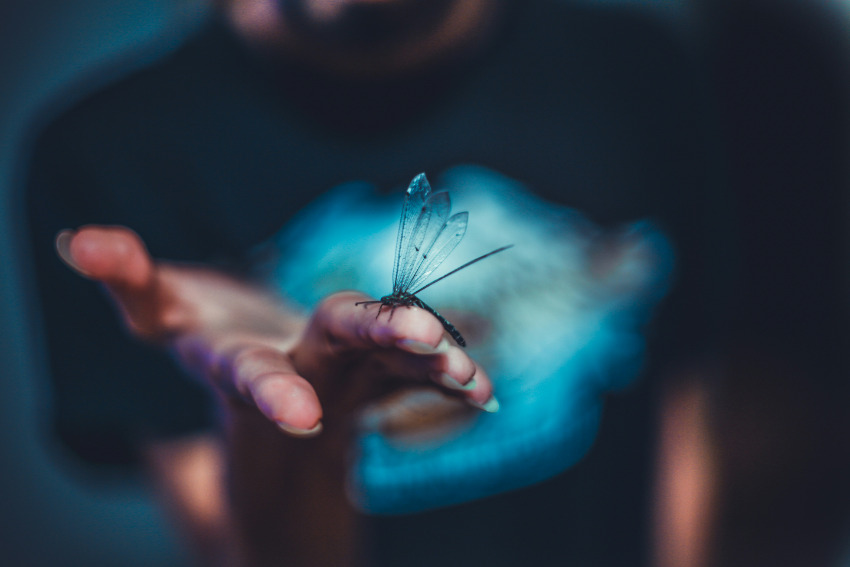 Testimonianza di Giuliana - Fiori di Bach Italia